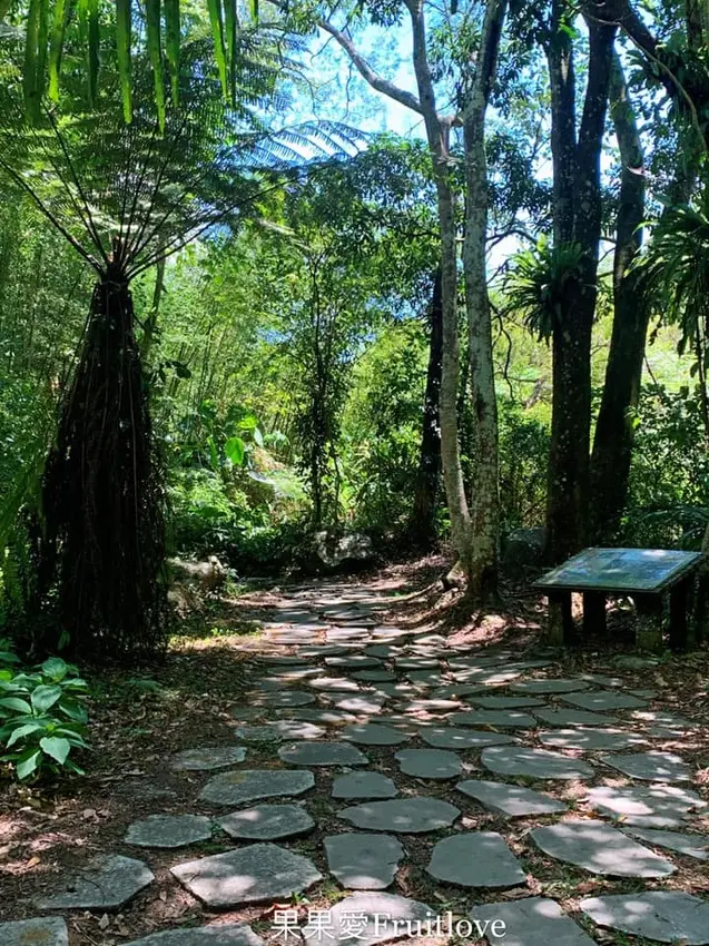 很輕鬆的森林步道  四十二份湧泉自然生態步道   苗栗南庄旅遊景點   親子寵物友善    不限大小  建議最少要牽繩