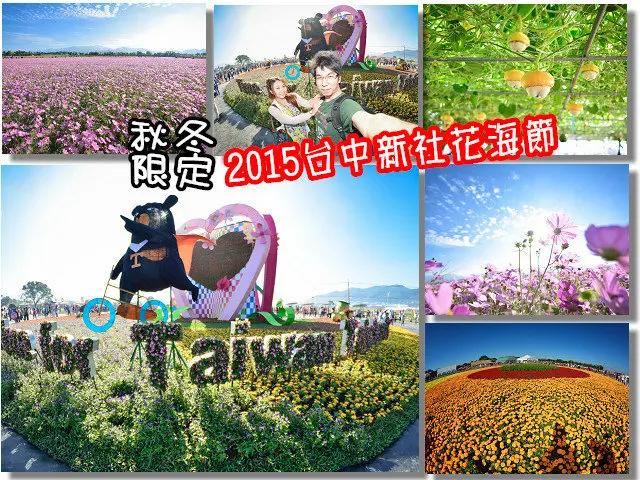 【台中遊記】2015年新社花海。繽紛十年花漾台中