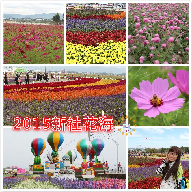 ((賞花日))2015新社花海節。10周年生日快樂，一起也欣賞大自然之美，花的藝術美學