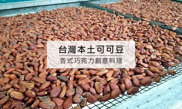 台灣第一家可可農場，各式巧克力料理，DIY巧克力，可茵山可可莊園~冰可可.多多可可霜淇淋