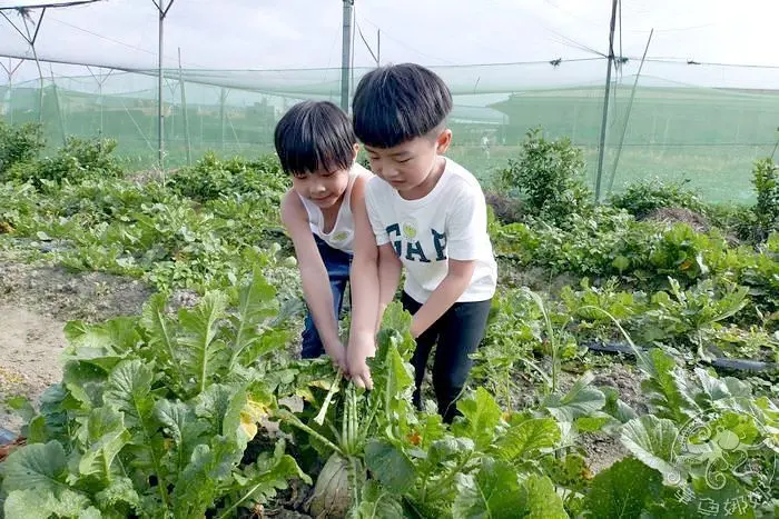 Go Bear 溝貝親子休閒農莊 自己釣魚蝦自己吃、撿雞蛋來煮蔥花蛋、拔蘿蔔回家加菜，超過10項以上玩樂體驗。戲水池、撈金魚、餵兔子、釣小魚、釣螫蝦、迷你滑草、餵青蛙、鴨鴨互動，還有烤肉區喔！