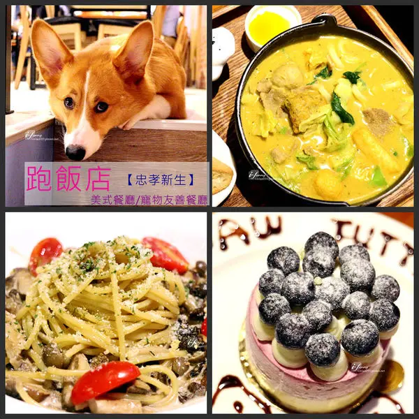 【忠孝新生站】跑飯店Paw Hotel~美式餐廳 寵物友善餐廳與毛小孩的歡樂時光