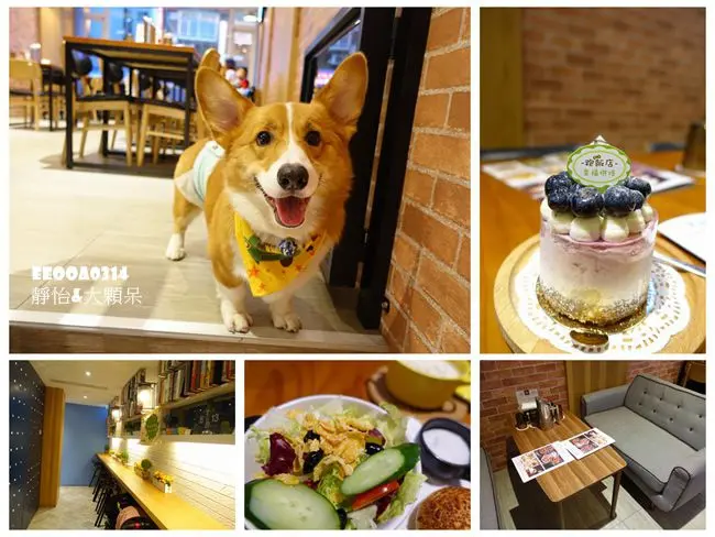 【寵物友善餐廳】跑飯店 THE PAW HOTEL ♥ 環境舒適 可以帶家中毛小孩一起來用餐 帶孩子來也好適合@捷運忠孝新生站美食