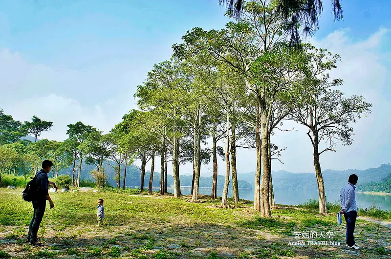 [苗栗 秋季小旅行] 探訪明德水庫秘境 魯冰花農莊  露營區 落羽松 製作福菜 親子共遊好去處