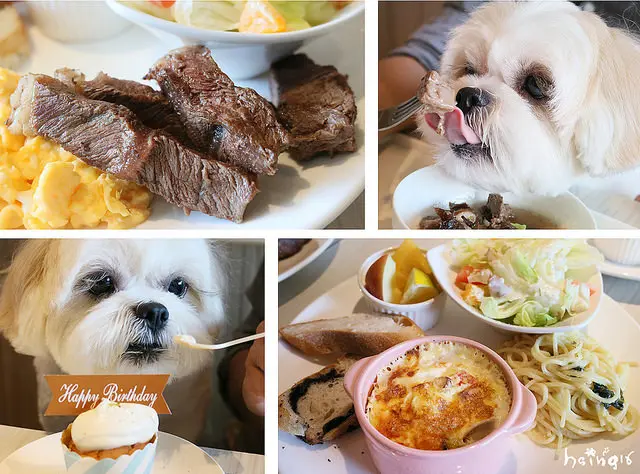 【食記】新北*永和。寵咖啡*台北最推薦的寵物餐廳 狗狗也有得吃! 寵物友善餐廳 早午餐 甜點下午茶 咖啡店