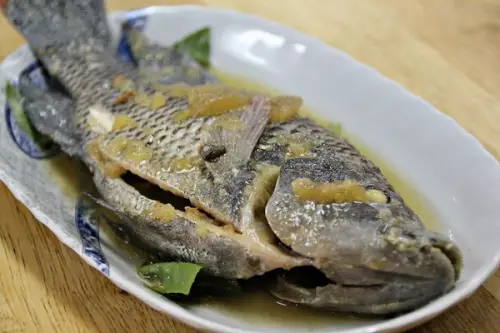 【正宗嘉義火雞肉飯】古早的滋味