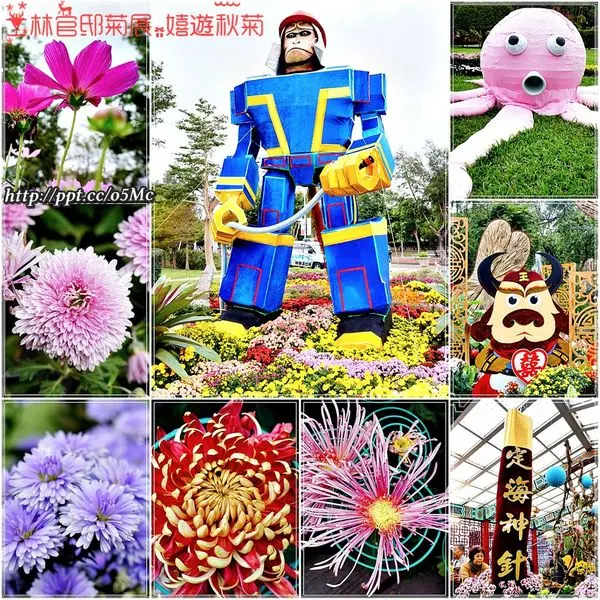 【台北/士林】親子同遊～來欣賞美麗的大立菊，觀賞唐三藏取經記♪士林官邸菊展。嬉遊秋菊♪