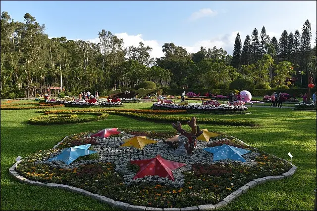 《魔鬼甄花瘋遊台灣》2015士林官邸菊展+豐盛號碳烤吐司早午餐半日遊~單株開滿2430朵白鶴花朵的大立菊！