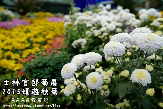 【台北◍•ᴗ•◍士林】賞花・2015士林官邸菊展 嬉遊秋菊｜可愛猴子花卉造景，重現西遊記場景