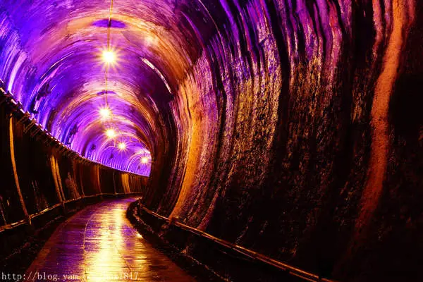 【窩客島。邀約】秋天何處趣。苗栗好好玩。苗栗銅鑼杭菊文化美食體驗DIY一日遊。苗栗粄食體驗遊程（下）