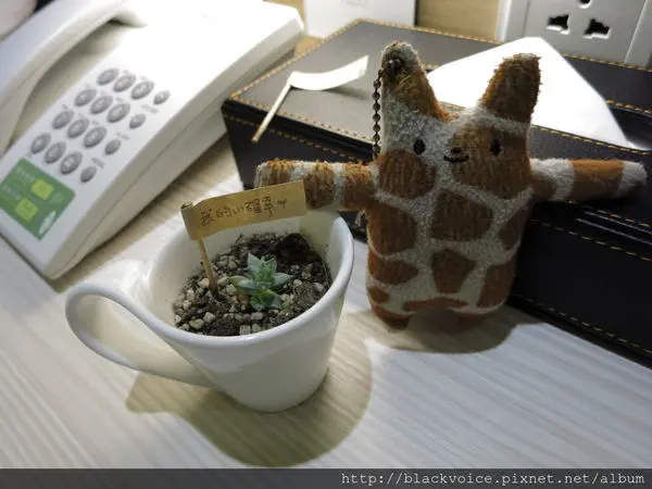 [台中-西屯] 台中逢甲住宿．葉綠宿旅館 Green Hotel