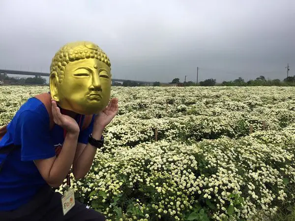 ＜窩客島邀稿＞【苗栗】秋天何處去？就在苗栗好好玩！杭菊景點客家餐麻糬DIY體驗一日遊(上)