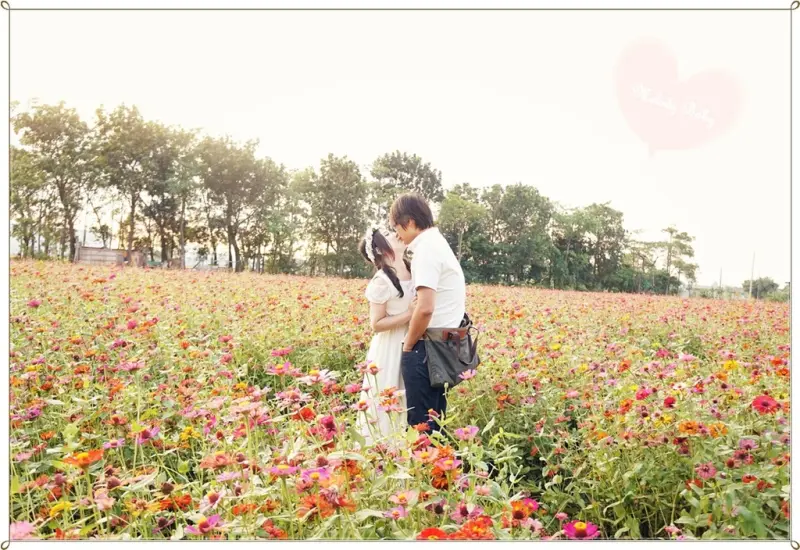 【高雄花海】2015花田喜事‧花漾橋頭♥好美的彩虹花田，怎麼拍都像拍婚紗一樣夢幻 (2015/12/6止)