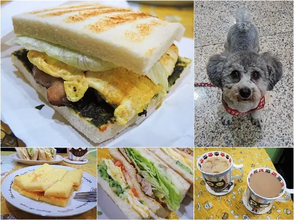 ［台北］米豆早午餐 新莊巷弄美食 好吃碳烤吐司  寵物友善餐廳