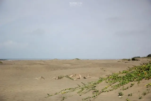 台南。七股。觸碰那變幻萬千的廣袤地景 / 頂頭額沙洲