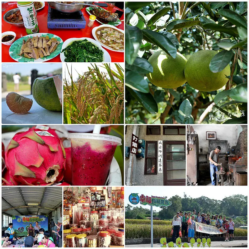 【苗栗好好玩-西湖一日小旅遊】西湖健康樂活有機村幸福有機農園採果趣、品嚐在地客家風味餐(上)