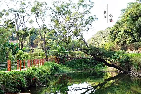 [苗里旅遊-北埔社區] 探索三灣，靜觀百年埤塘風貌 ❏北埔社區三聯埤、三生農塘❐ 苗栗好好玩！苗栗旅遊/苗栗北埔旅遊/苗栗北埔社區/苗栗三灣/苗栗埤塘生態