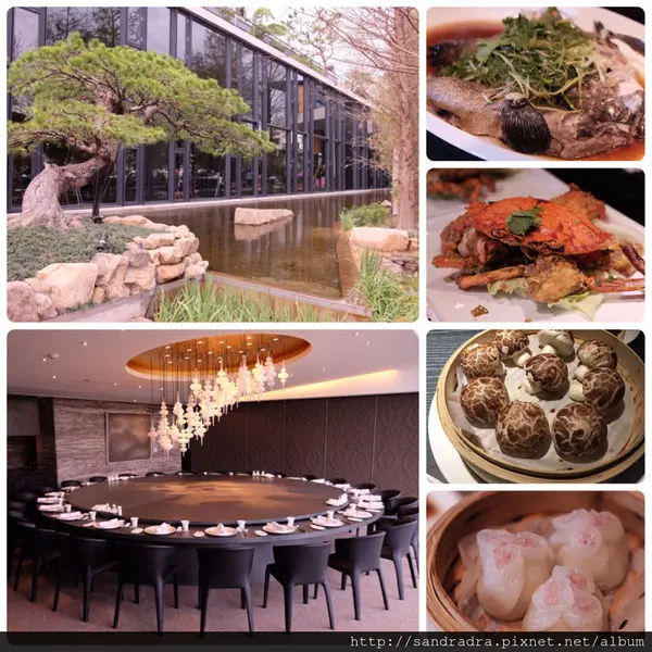 台中美食【与玥樓】頂級粵菜餐廳 星野集團斥資3億打造如忘憂森林般的用餐環境