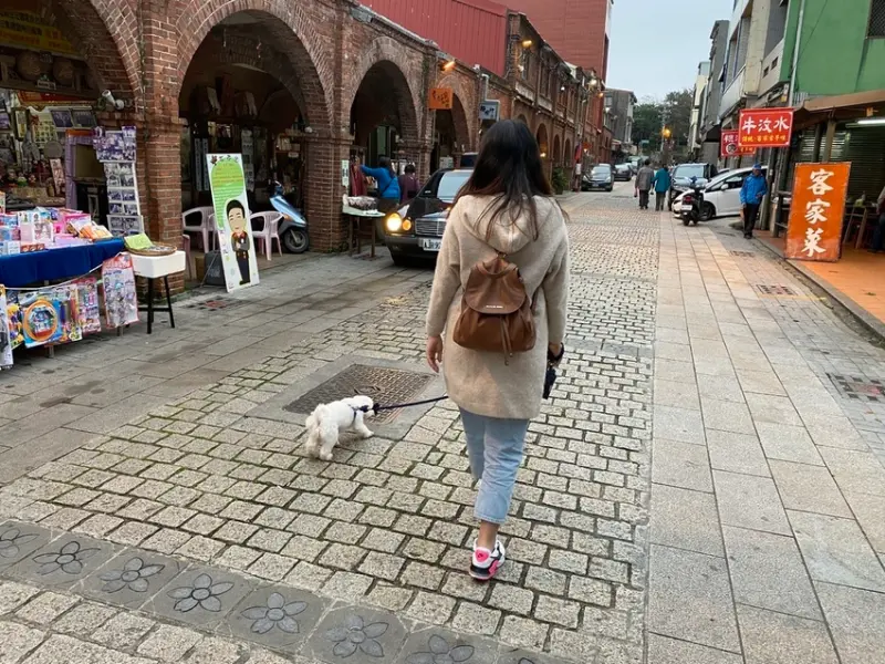 【新竹縣-湖口老街】客家風情、懷舊老街、牛汶水、帶狗狗出去玩