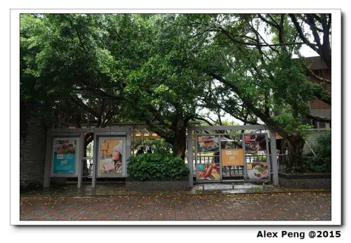 新北市-永和-豐滿總匯三明治永和仁愛公園店