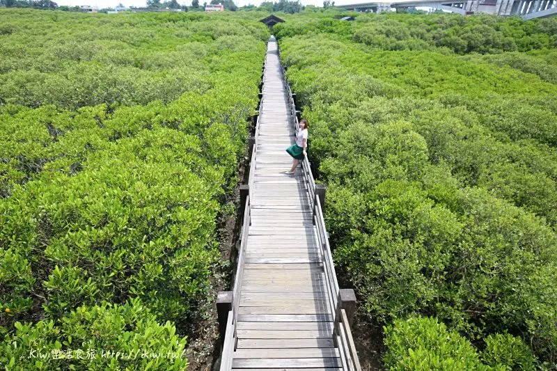 新豐景點推薦｜新竹紅樹林隧道 宛若龍貓隧道 網紅IG打卡熱點 一日輕旅行 - Kiwi 樂活食旅