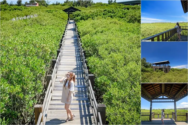 新竹新豐景點》新豐紅樹林公園 紅毛港休憩區 漫遊綠色步道 大自然的生態教室 - 滿分的旅遊札記