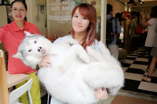  【羽諾分享】臺北美食店家再造計畫❤找回料理精神-臺北街角美食之旅