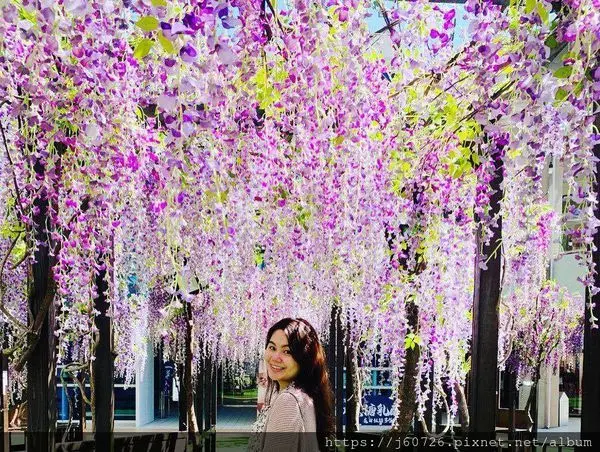 【新北林口/景點】228連假去哪好呢?~不用到日本也能親眼目睹超夢幻的紫藤花海(紫藤花隧道)★林口三井OUTLET之紫色花浪來襲(Mitsui Outlet Park)