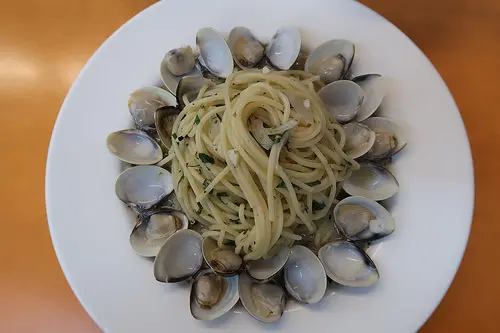 鮪魚的奶奶【新莊食記】秋田義大利麵 我心目中新莊第一名的義大利麵!!