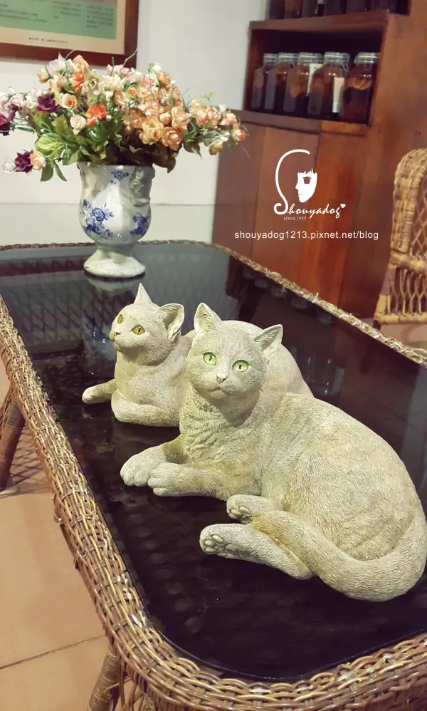 【西式料理】TINA廚房-鶯歌店              