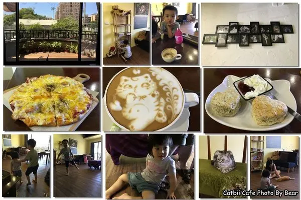【新竹】「三訪卡比咖啡．丫尊ㄟV.S.貓咪咖啡拉花之超級比一比(簡餐/披薩/三明治/輕食/咖啡/下午茶)」