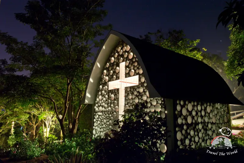 『嘉義♥』綠盈牧場(賞蝶屋冬季限定的冬之光)