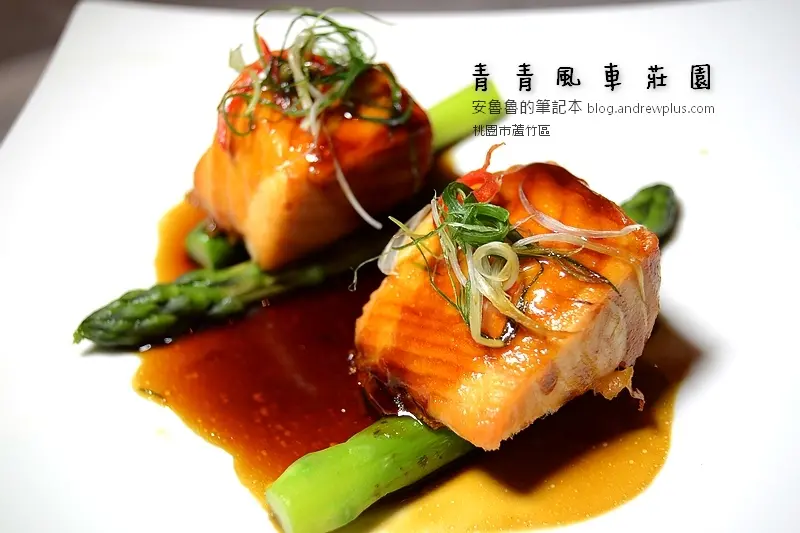 青青風車莊園 - 新台灣料理，高級餐廳的氣氛，很推的一間莊園餐廳! @桃園市蘆竹區[口碑券]