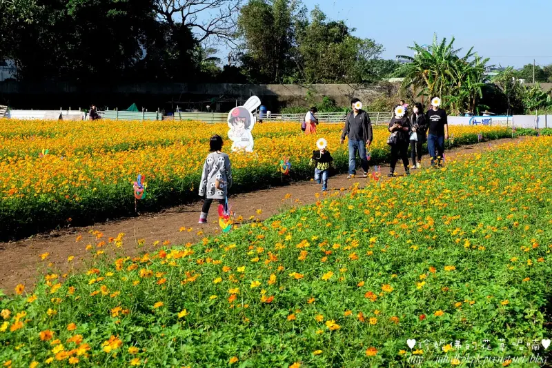 【桃園-平鎮區】2015桃園花彩節平鎮場之花寶寶的藝想世界