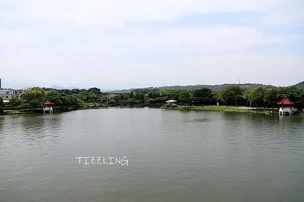 2021桃園龍潭觀光大池｜桃園龍潭老眷村米干｜桃園觀音白千層鐵砲百合花園～