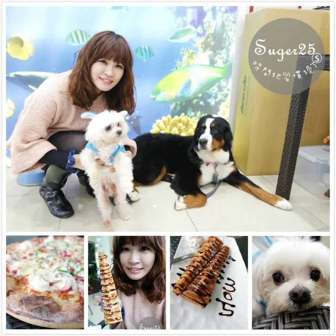 [美食]峇里島風的永安//3号咖啡No.3 Cafe//適合全家大小一同前往，整片大草地~享受大自然!!寵物友善親子餐廳--桃園新屋