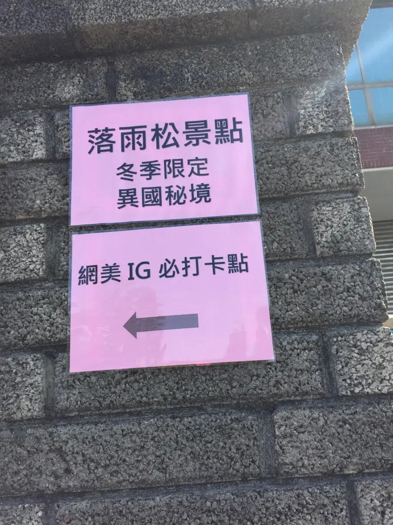 八德落羽松秘境地址