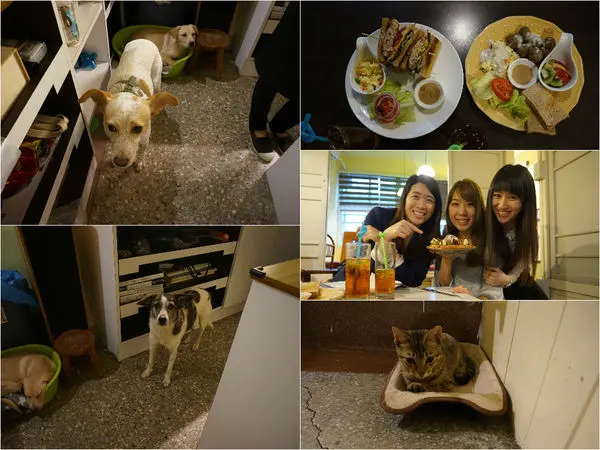 可愛毛小孩陪你用餐的暖心咖啡店－浪浪別哭