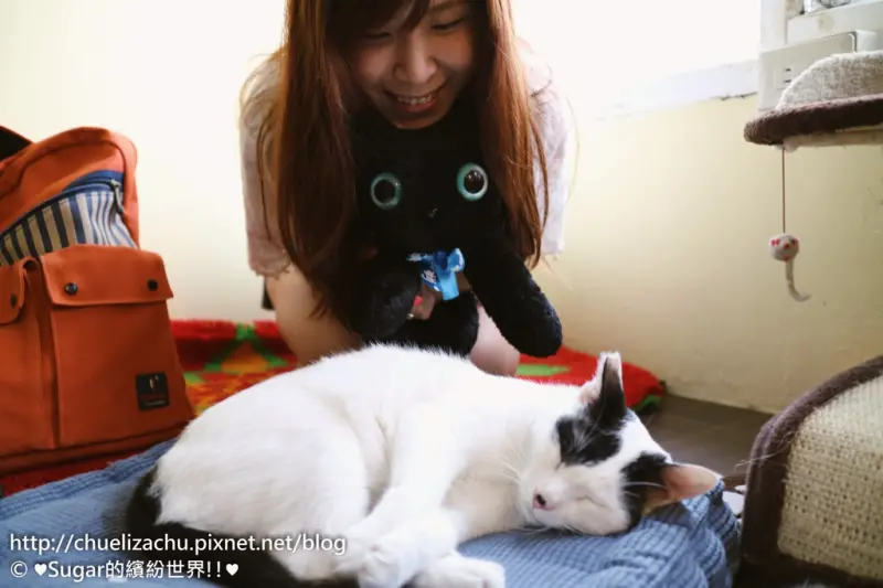  【愛吃鬼】台北中山區❤這裡讓愛不流浪 浪浪別哭pet halfway house & cafe❤