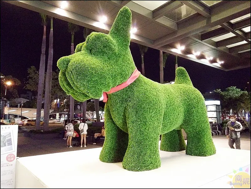 台中免費新景點。IG打卡熱點。超萌巨無霸草皮英國梗犬現身