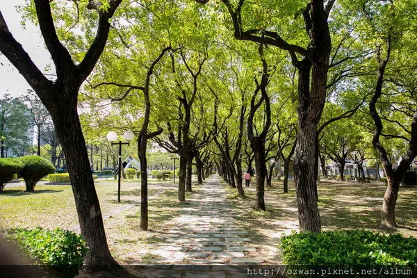 [玩樂]製造維他命D的美好太陽日～審計新村、好好手感微笑市集。