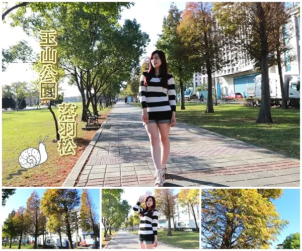 【桃園景點】桃園玉山公園~落雨松秘境大道/桃園賞落雨松的熱門景點之一              