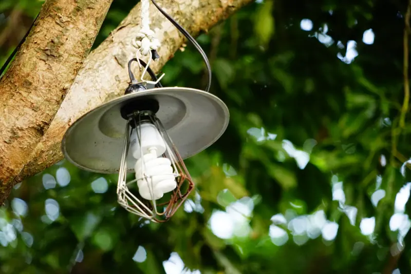 山河戀--漆彈、划草或烤肉