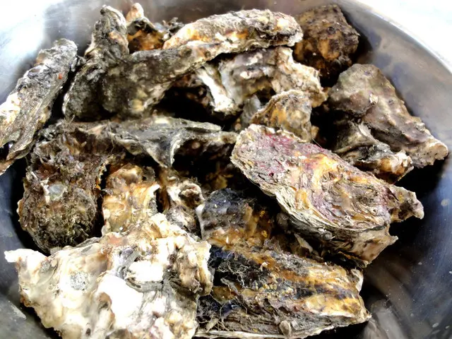 [玩樂趣]台南○七股潟湖 新鮮飽滿的烤蚵仔隆滴加啦!!!~龍海號生態之旅