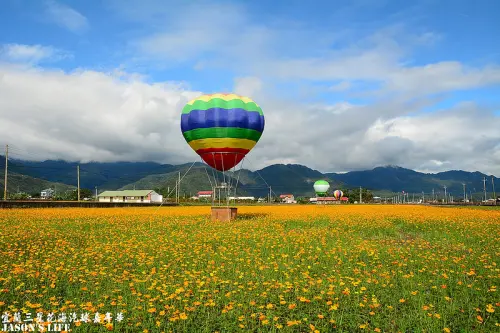 【宜蘭│景點】巨大洛克馬佇立於波斯菊花海中，連綿山嵐如同畫布般壯麗，來賞花吧。三星花海汽球嘉年華