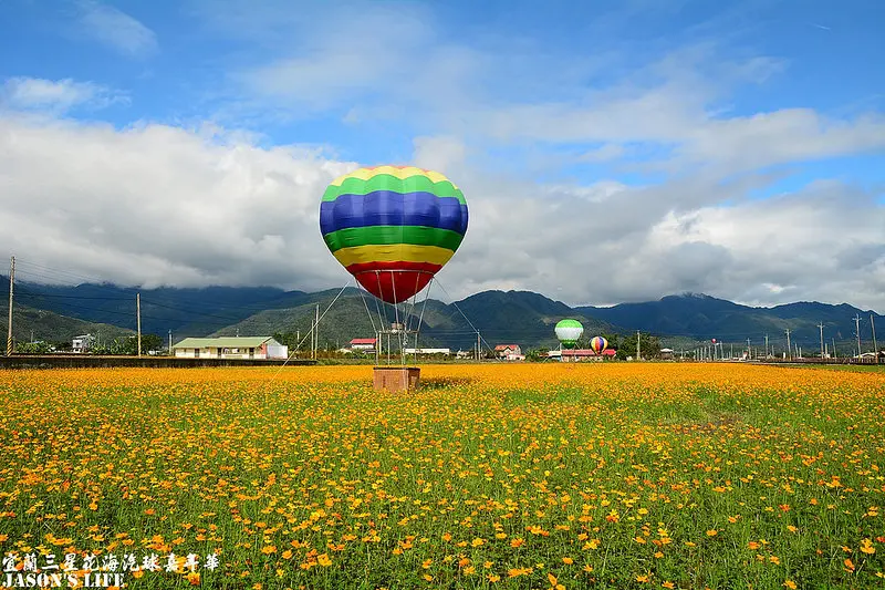 【宜蘭│景點】巨大洛克馬佇立於波斯菊花海中，連綿山嵐如同畫布般壯麗，來賞花吧。三星花海汽球嘉年華