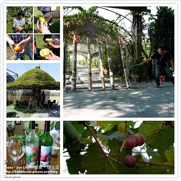 【彰化 大村】不入果園怎知果農的用心與辛勞，假日採果、享受自然生態的親子之旅。劍門生態花果園休閒農場＆雅育休閒農場