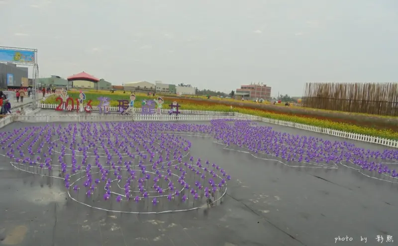 【台中。龍井】 2016花現龍井~龍井花海、田園景色