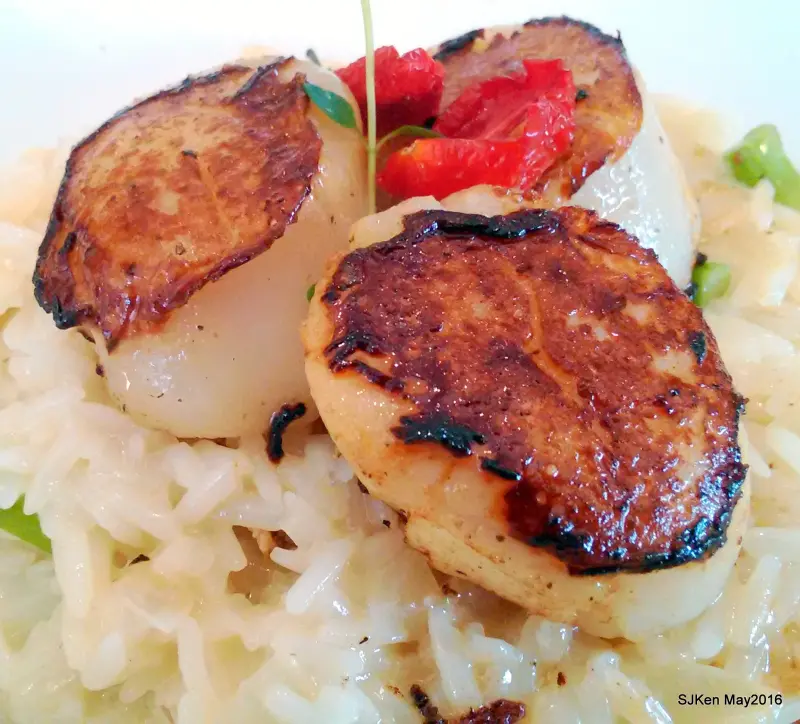 宜蘭礁溪玉田村「初樂」法式餐廳 --- 時間、旅行、記憶與美食交融的桃花源!