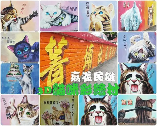 ★嘉義．吃喝玩樂★嘉義民雄3D貓咪彩繪村(菁埔社區貓世界)~3D貓咪彩繪栩栩如生/各式貓咪LINE貼圖/社區再造社區發展